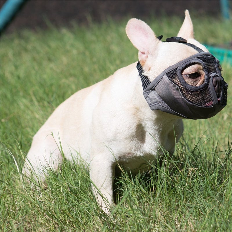 JYHY Short Snout Dog Muzzles- Adjustable Breathable Mesh Bulldog Muzzle for Biting Chewing Licking Training Grooming Dog Mask (Grey(Eyehole), Large/15-25") - Image 5
